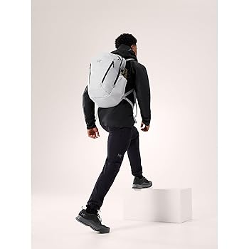 Amazon.co.jp: [アークテリクス] ARCTERYX マンティス26バック